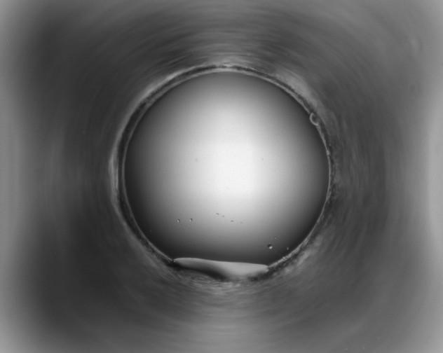 X0000088171032200705291927