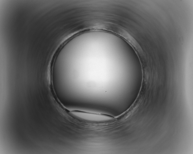 X0000088171036200705291927