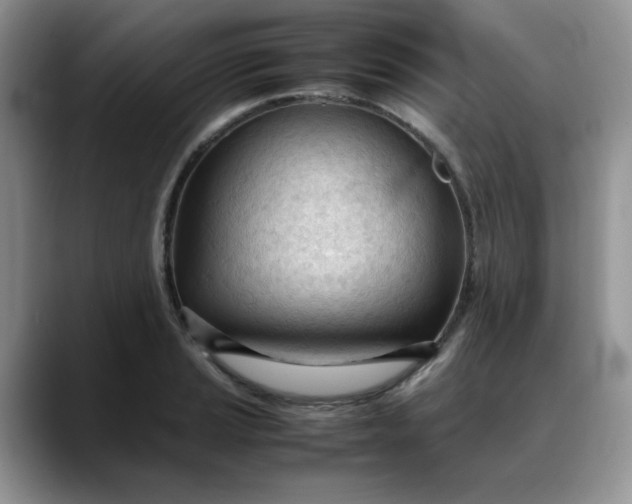 X0000088171037200705291927