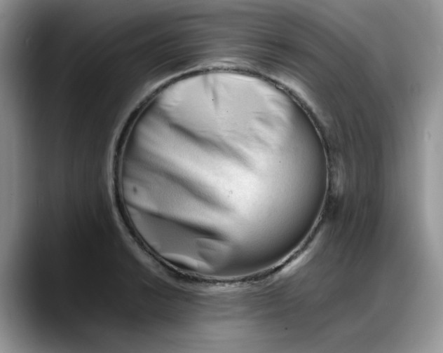 X0000088171038200705291927