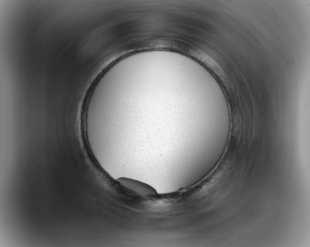 X0000088171039200705291928