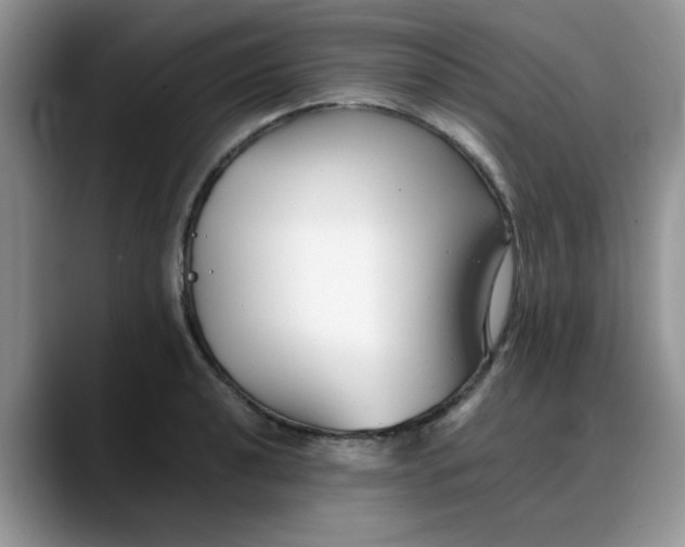 X0000088171040200705291928