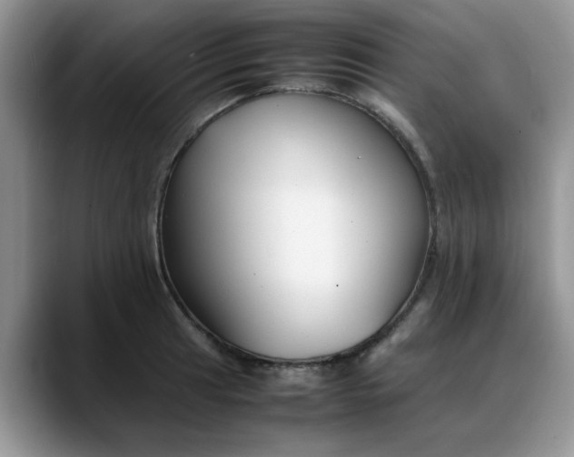 X0000088171041200705291928