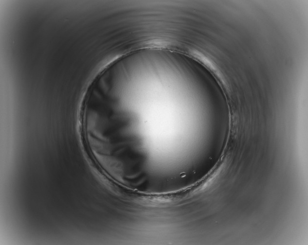 X0000088171042200705291928