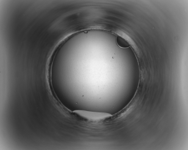 X0000088171043200705291928