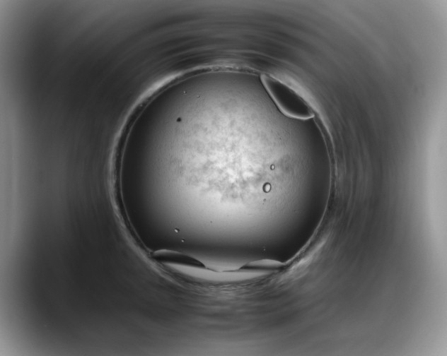 X0000088171045200705291928