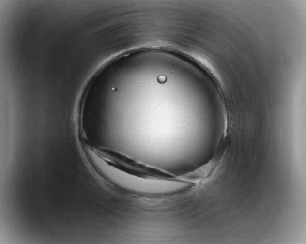 X0000088171046200705291928