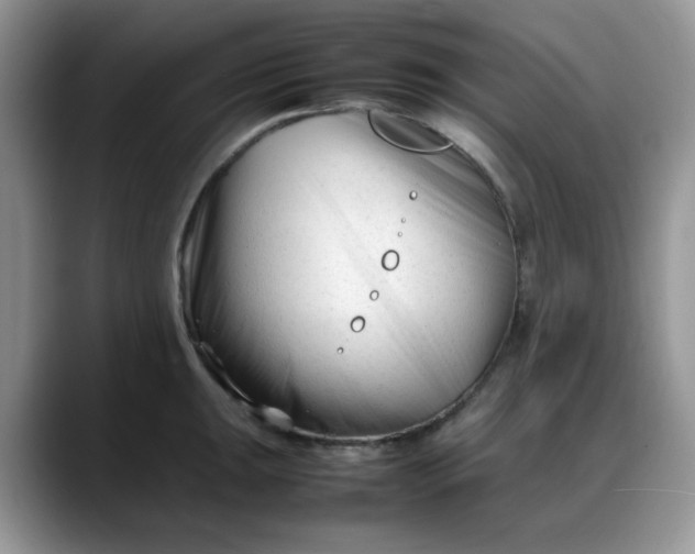 X0000088171047200705291928