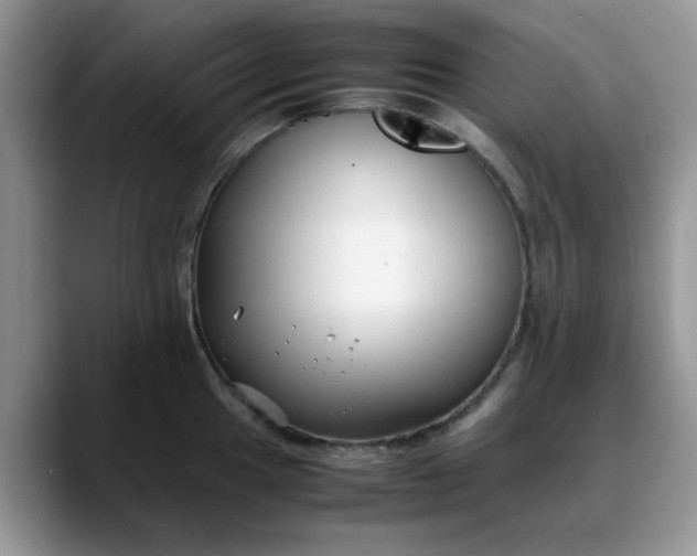 X0000088171049200705291928