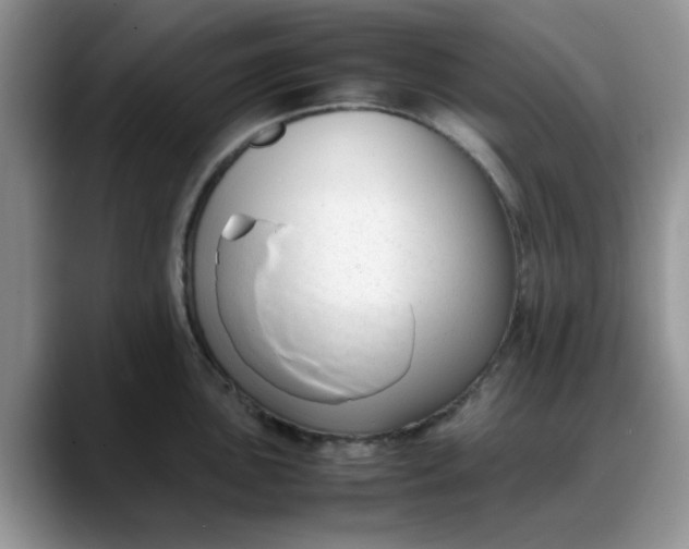 X0000088171051200705291928