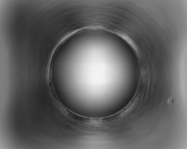 X0000088171052200705291928