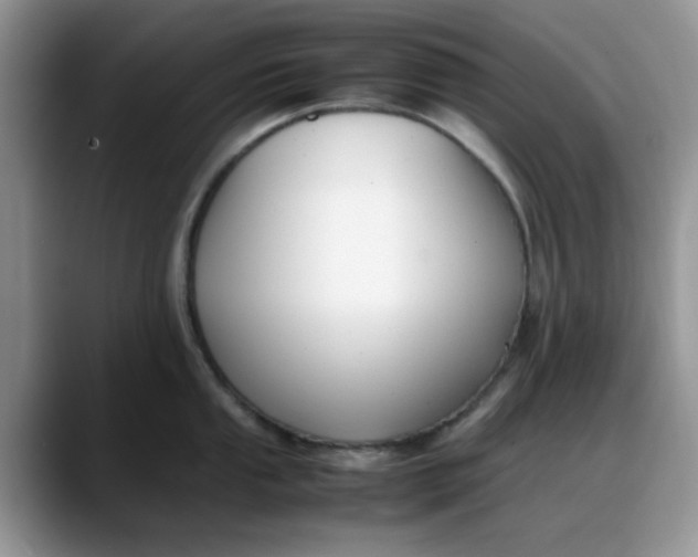 X0000088171053200705291928