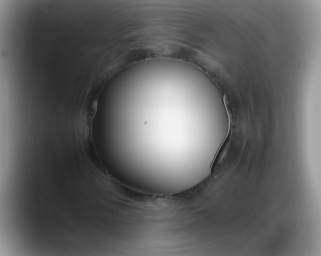 X0000088171058200705291927