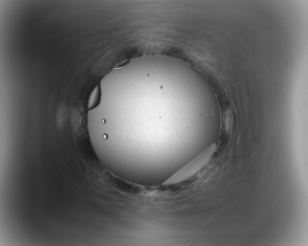 X0000088171059200705291927