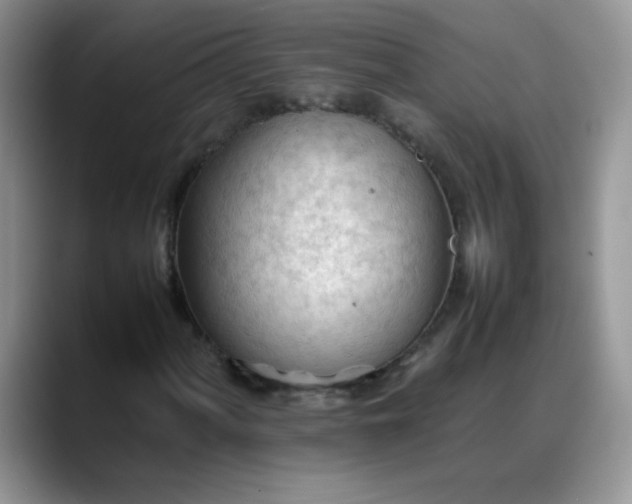 X0000088171060200705291927