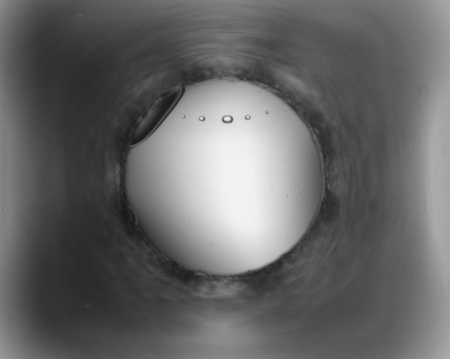 X0000088171061200705291927