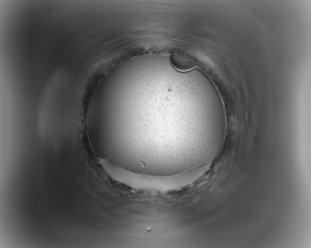 X0000088171063200705291927