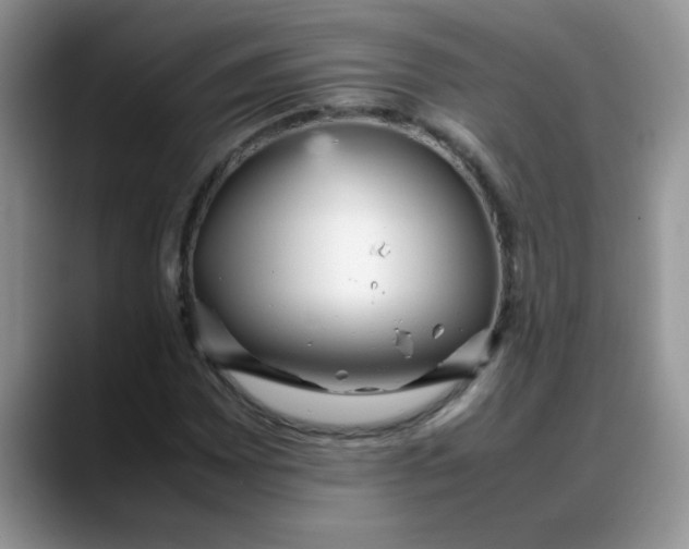 X0000088171065200705291927