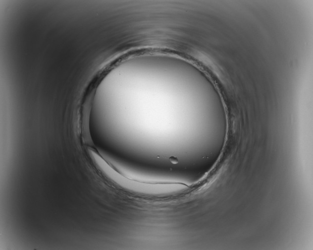 X0000088171069200705291927