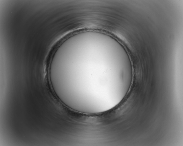 X0000088171070200705291927