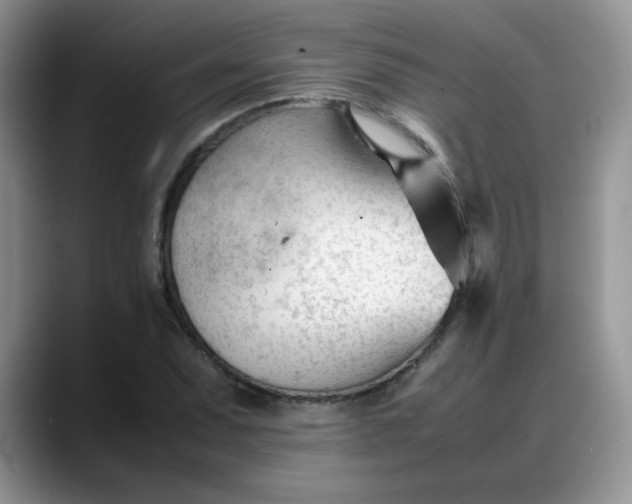 X0000088171071200705291927