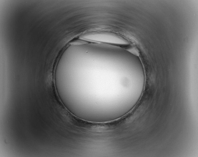 X0000088171073200705291927