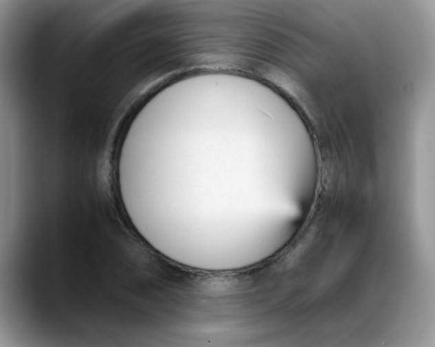 X0000088171074200705291927