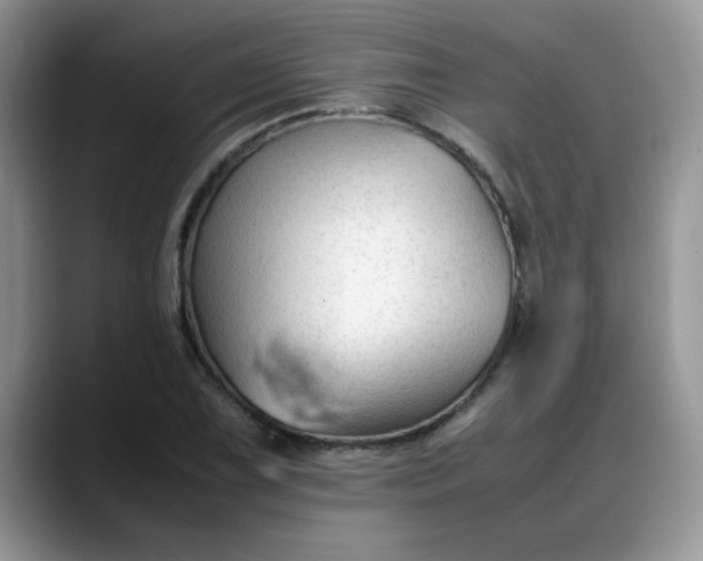 X0000088171075200705291927