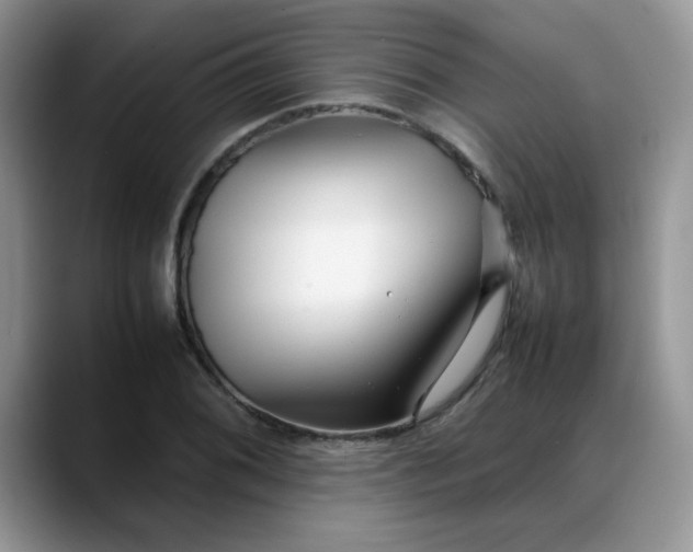 X0000088171076200705291927