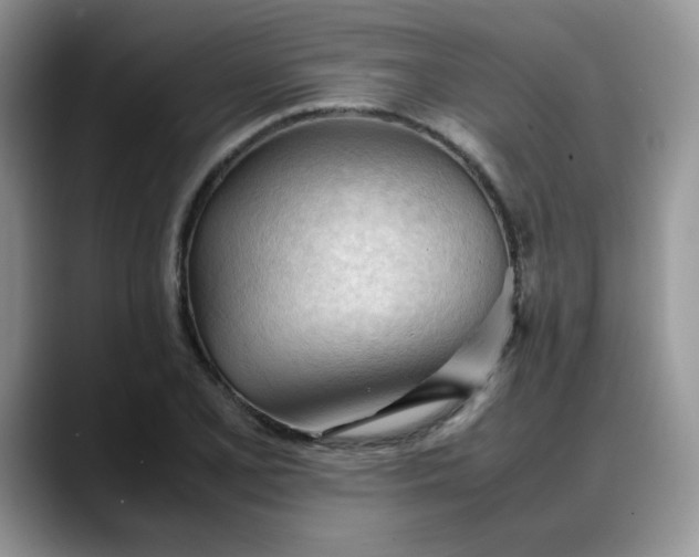 X0000088171077200705291927