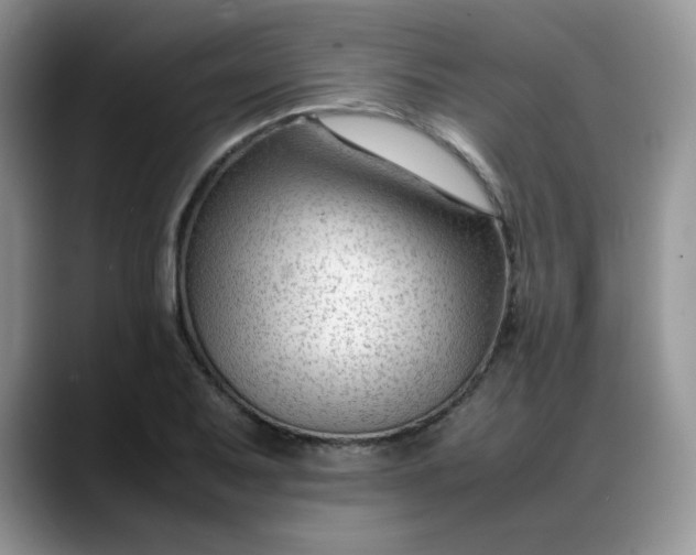 X0000088171079200705291927