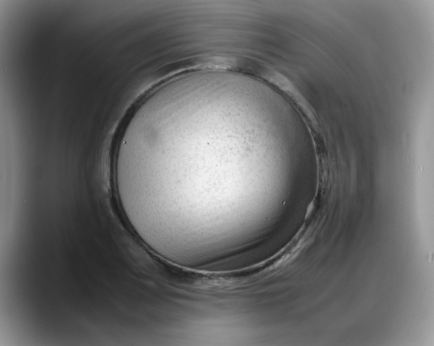 X0000088171083200705291927