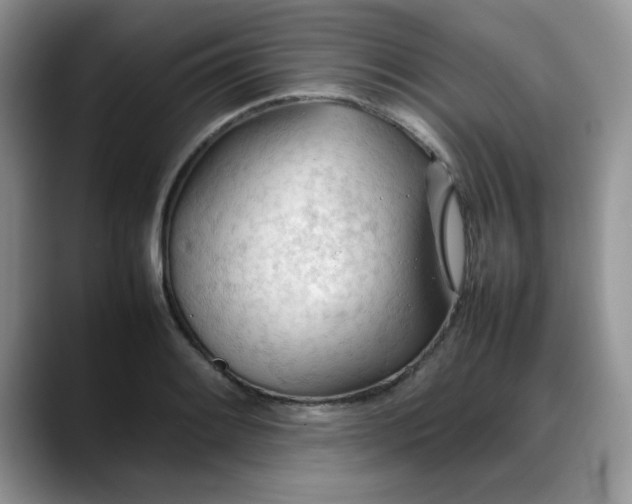 X0000088171084200705291927