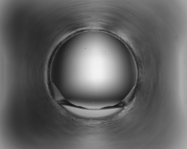 X0000088171085200705291927