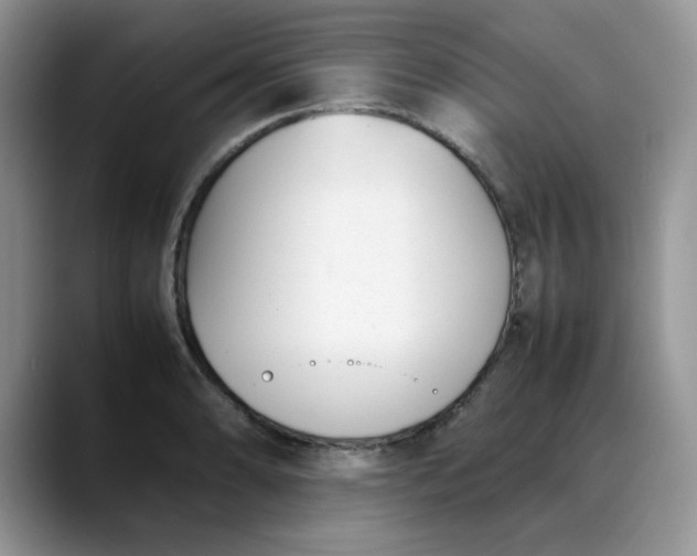 X0000088171086200705291927