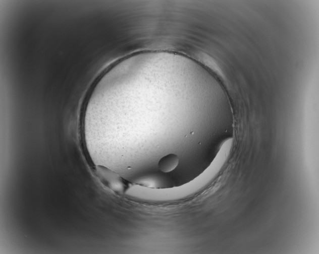 X0000088171087200705291927