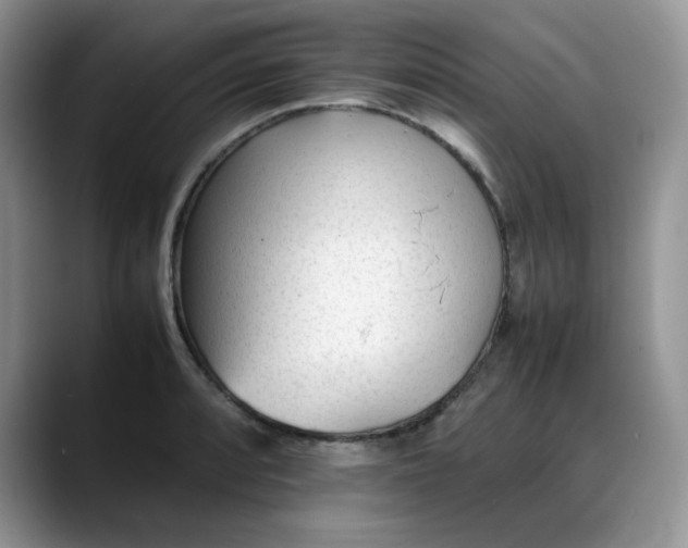 X0000088171088200705291927