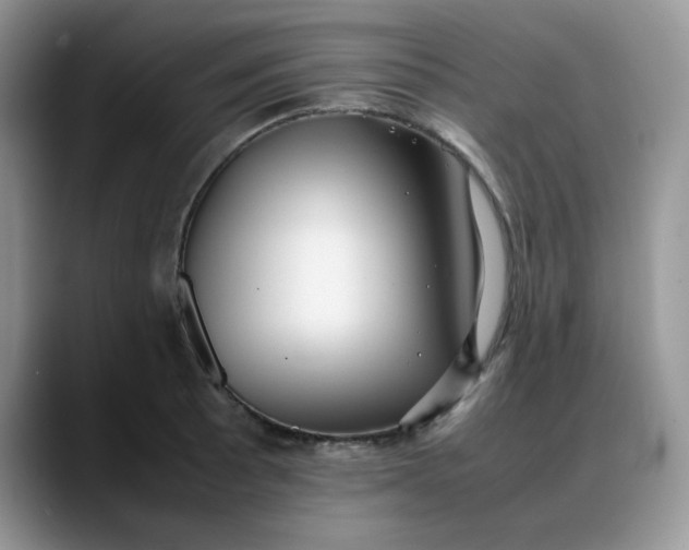 X0000088171089200705291927