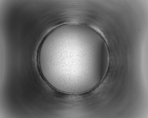 X0000088171091200705291927