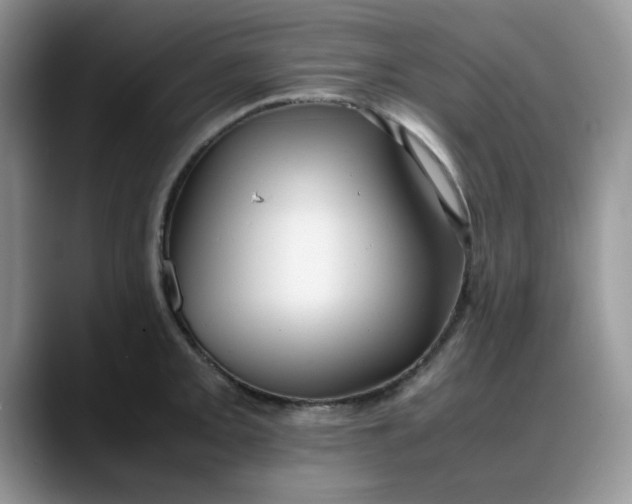 X0000088171093200705291927