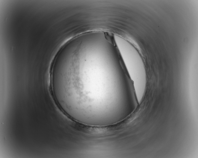 X0000088171095200705291927