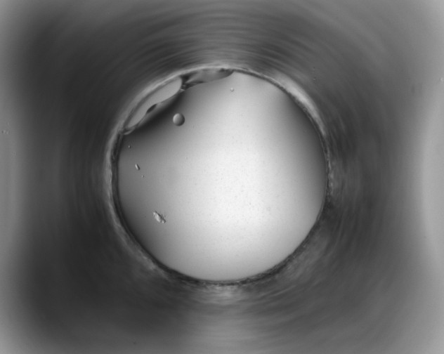 X0000088171096200705291927