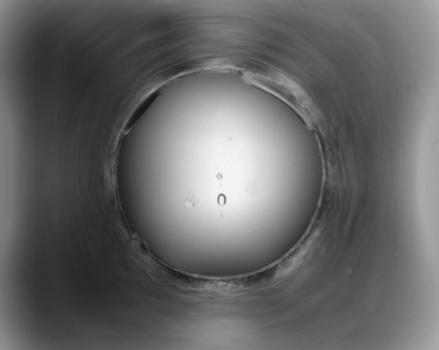 X0000088171097200705291927