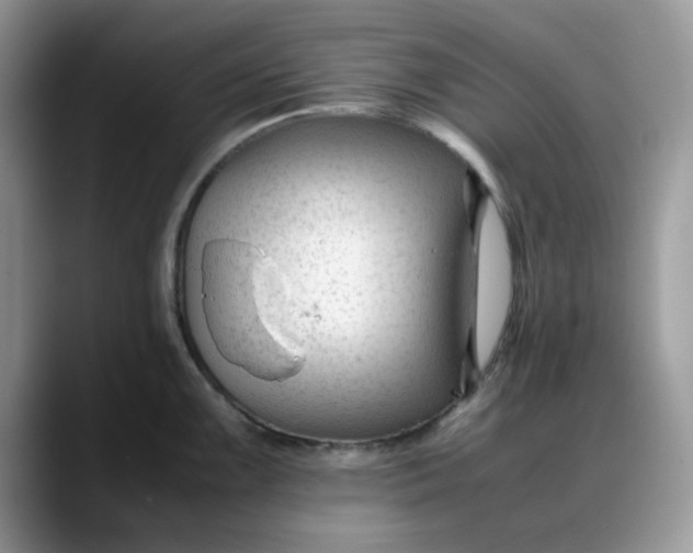 X0000088171099200705291927