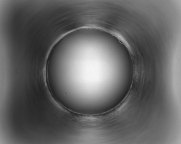 X0000088171100200705291927