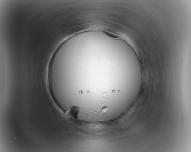 X0000088171103200705291927