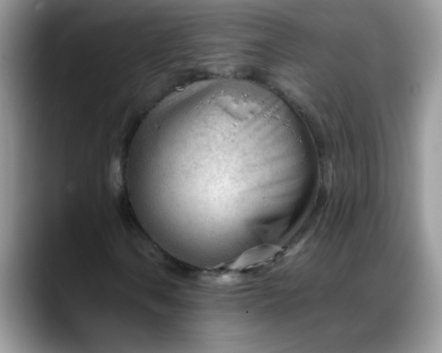 X0000088171106200705291926