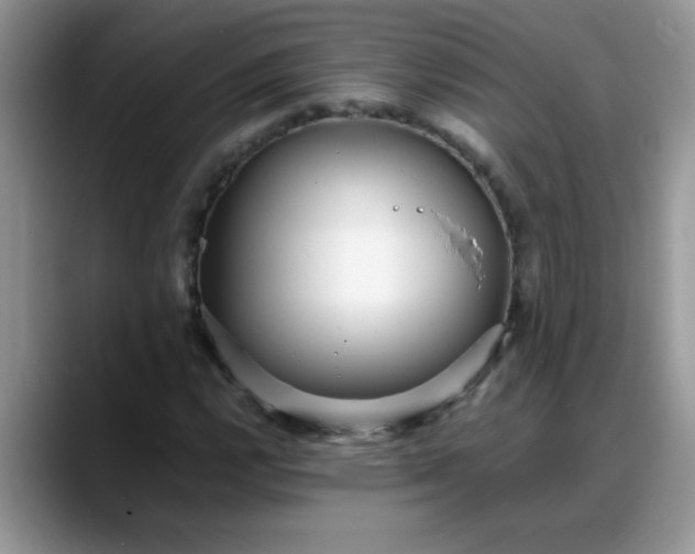 X0000088171112200705291926