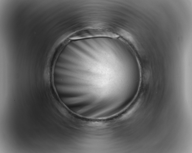 X0000088171114200705291926