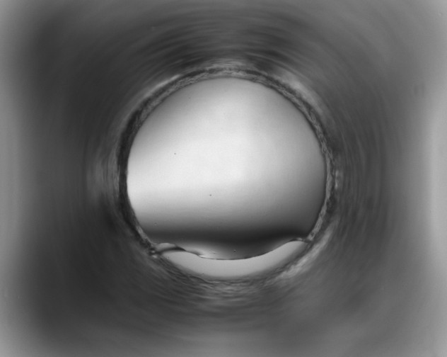 X0000088171117200705291926